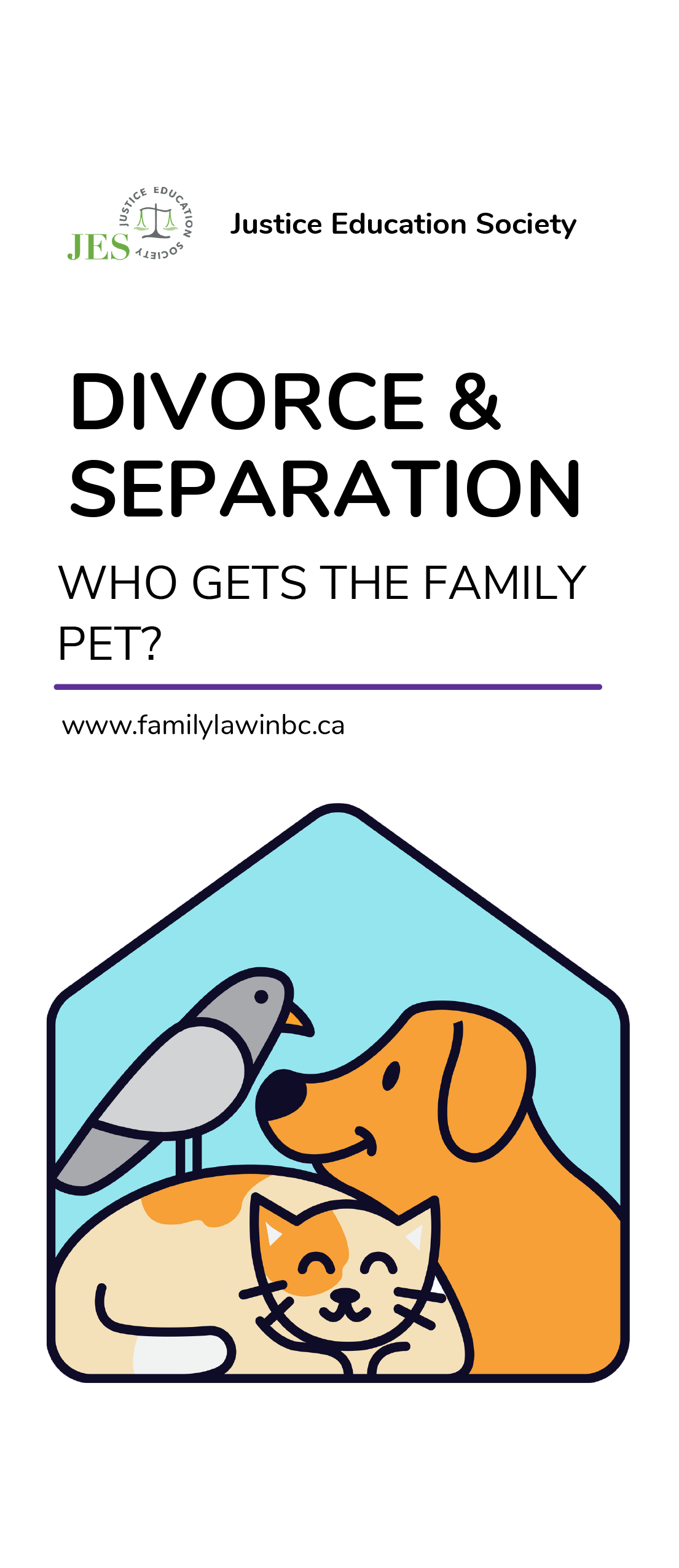 Divorce and Separation Family Pet