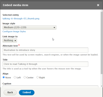 Screenshot of the Embed media item dialog box