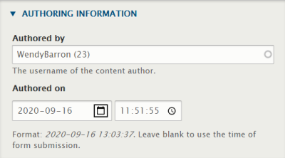 Screenshot of the Authoring Information metadata block showing the usable fields.