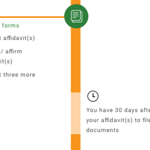 Step 4: Prepare the forms (Fill out affidavit(s), Swear / affirm affidavit(s), Fill out three more forms). You have 30 days after swearing your affidavit(s) to file your documents.